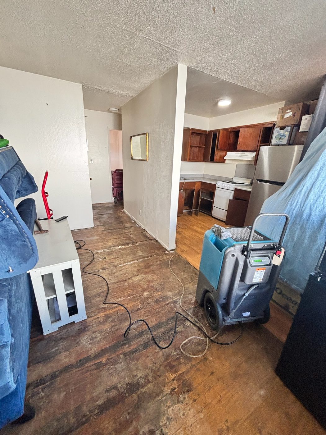 Air movers drying a room on the SF Peninsula